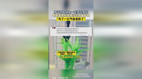 多菌灵是个啥玩意儿