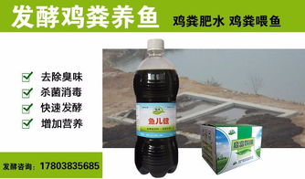 猪粪发酵后喂鱼安全吗？与发酵鸡粪肥水养鱼相比，哪种方法更环保高效？
