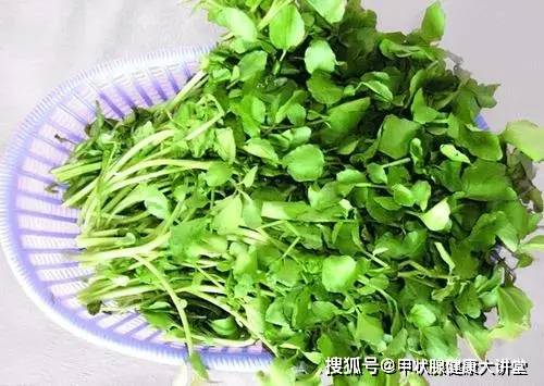 十字花科蔬菜种类繁多，你选对了吗