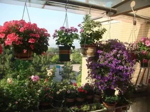 旧物改过：创意无限