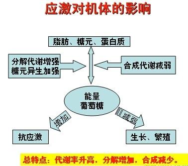 家禽免疫失败关键因素：疫苗质量、接种技术、环境应激