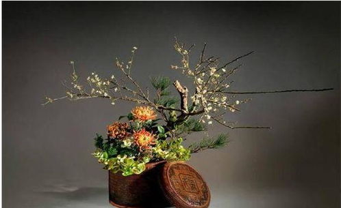 插花艺术与美学的结合