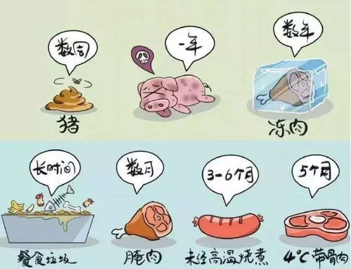非洲猪瘟病毒存活时间：在多种环境中可存活数月