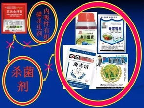 920的作用大解析