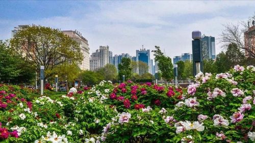 高原强紫外线区（海拔＞2000m）