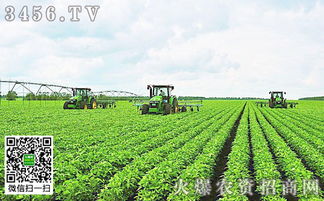 播种时间与土地处理