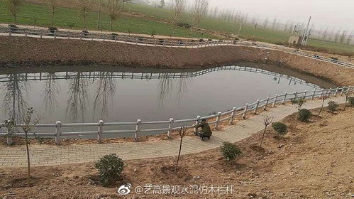 鱼塘的日常管理