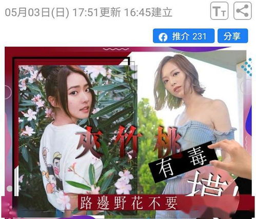 路边奇遇：那香气四溢的小白花