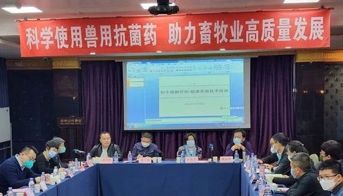 山西省饲料兽药监察所和北京市饲料科学技术研究所，哪家在饲料添加剂研发方面更有优势？