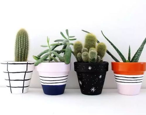 第一步：选对种子，种子要强健