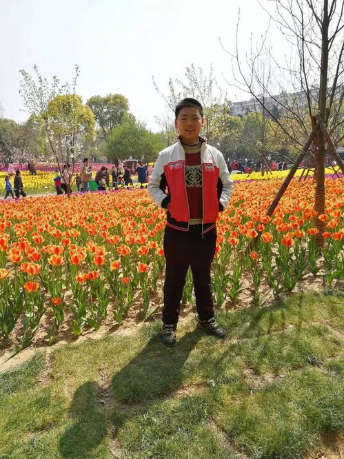 江苏花苗市场探秘：品种少价格贵， 三大产区揭秘