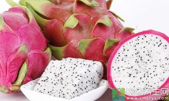 冬天水培与土培， 常青藤的生长大比拼