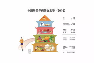小鸡喂养指南：全面了解小鸡的营养需求与食物选择