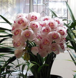 观察土面颜色， 判断干湿