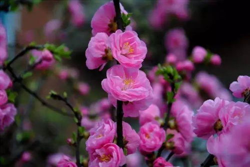 选购难题， 我们一起解决