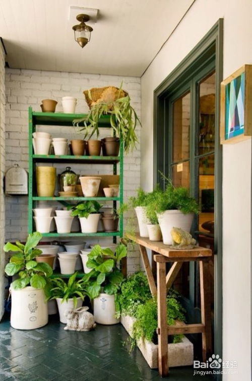 养花小窍门：用心呵护，让绿意盎然