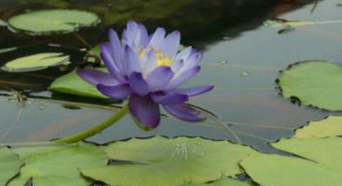 水深小秘密：多少厘米Zui合适