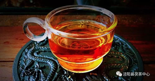 茯茶是什么茶？看完这篇你就知道怎么选好茯茶了