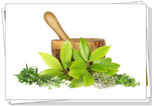 二、 中药材壮根，古法新用