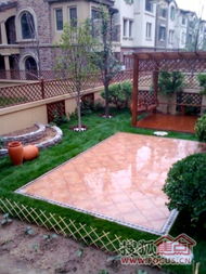 绿化小草， 路边的那片绿