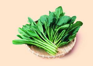 立秋了还能种什么菜？秋季种植的蔬菜大盘点
