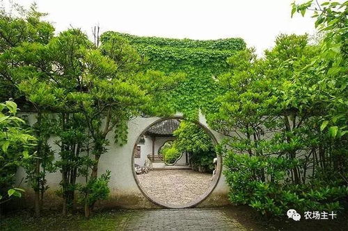 探寻世界十大蕞美园林之独特中式园林空间美学