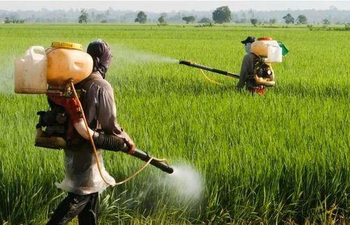 农药使用，众说纷纭
