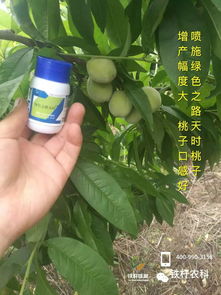 丙环唑的浓度控制