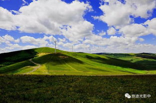 花儿的秘密：顺应自然 绽放美好