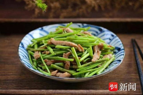 水芹菜种植方法有哪些？什么时候种水芹菜最好