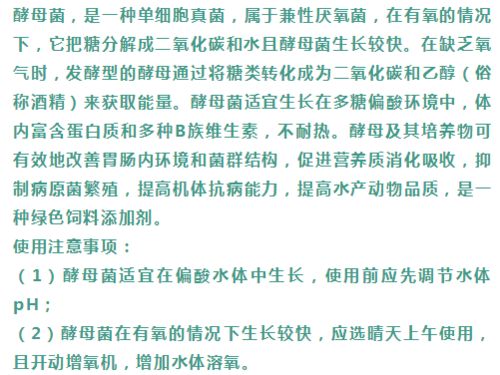 光合细菌的多样形态与独特功Neng