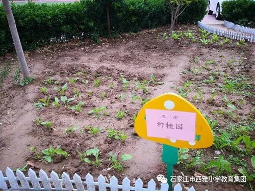 绿色校园，和谐共生