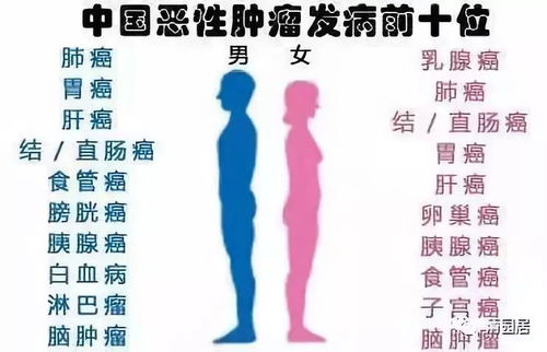 花生（T