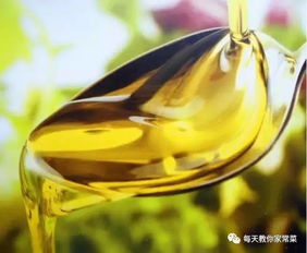 山茶油：茶叶健康新选择，提升生活品质