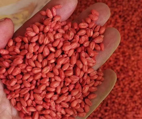 使用吡虫啉的注意事项