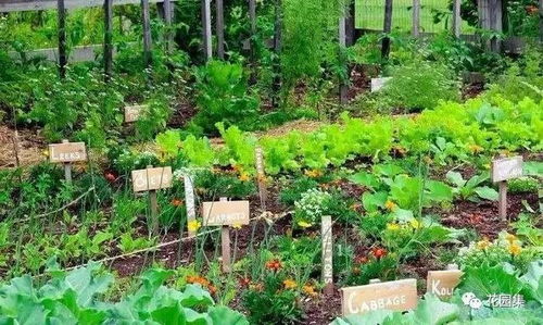 气候与土壤对种植的影响