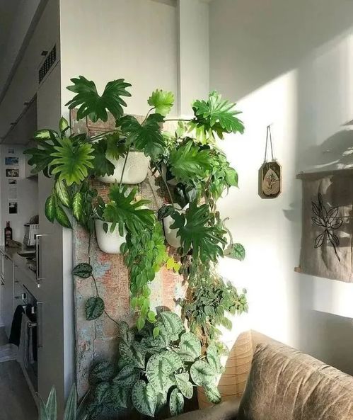 店铺装修与进货