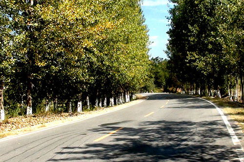 外来资金的影响