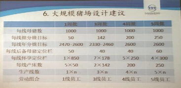 母猪批次化生产，哪种批次模式Zui划算？