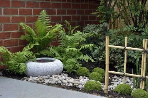 一、 庭院绿化，地被植物不可少