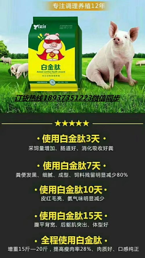 猪饲料技术服务转型后如何提高饲料利用率及猪只健康水平？