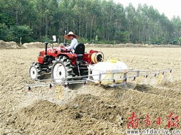 机械种植党参的优缺点