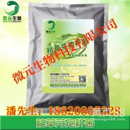 枯草芽孢杆菌饲料和发酵饲料对动物生长有哪些具体益处？