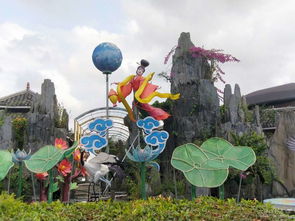 买花如何避免雷区？怎么让花友们不踩雷呢？花友长点心吧！