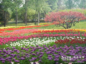 夜游植物园，别样风情