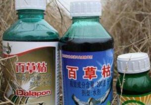 草甘膦中毒的症状