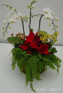 花期揭秘：不是30天那么简单