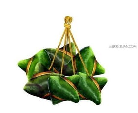 包粽子的叶子是竹叶，这种叶子你肯定见过吧