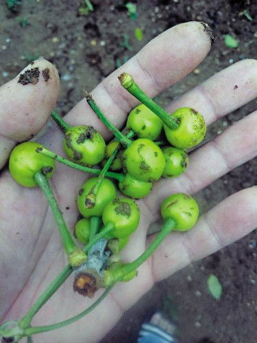 关键技术， 突破环境限制