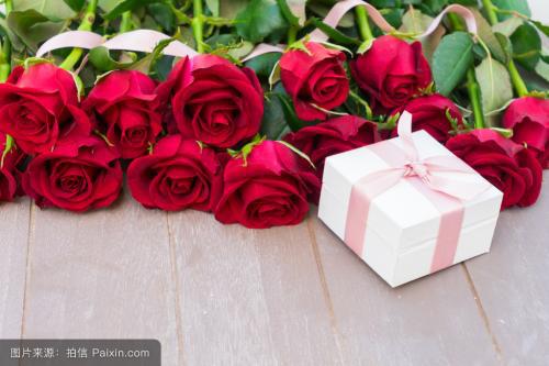 玫瑰花凋谢后的修剪大揭秘